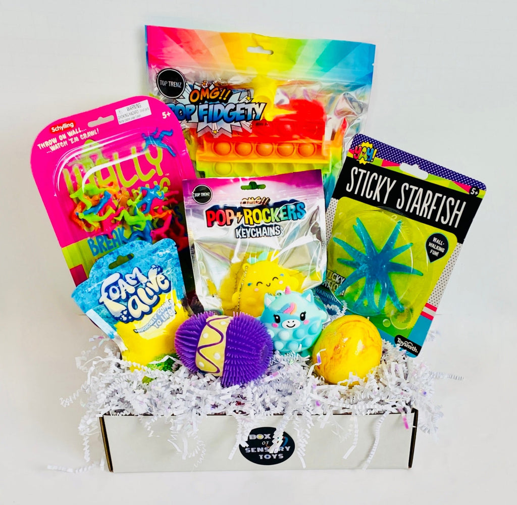 FIDGET TOYS BOX Monthly Box of Sensory Toys