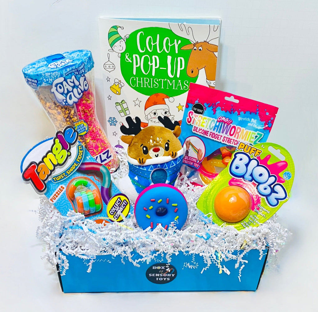 Holiday VIP Box of Sensory Toys